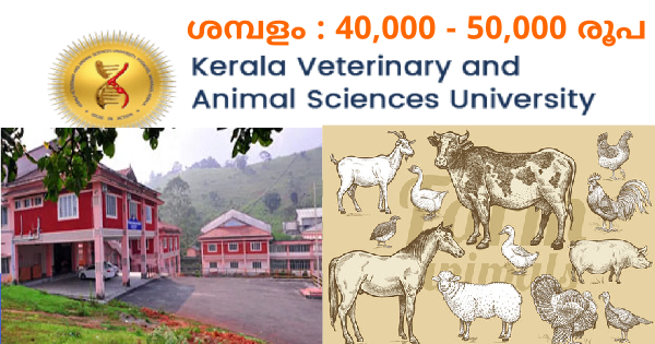 വെറ്ററിനറി ആൻഡ് അനിമൽ സയൻസസ് യൂണിവേഴ്‌സിറ്റിയിൽ ഒഴിവുകൾ