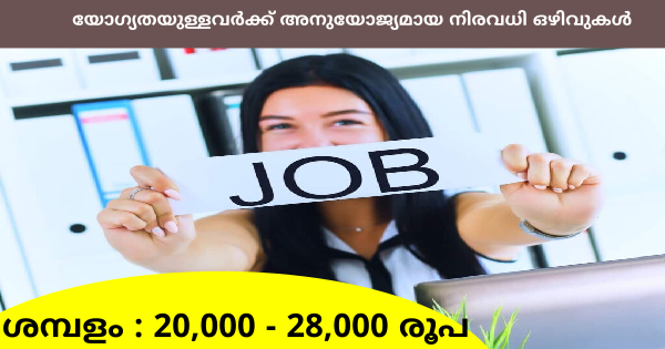 ഗ്ലോബൽ ബിസിനസ് കോർപ്പറേഷനിൽ വിവിധ ഒഴിവുകൾ എല്ലാ ജില്ലയിലുള്ളവർക്കും അപേക്ഷിക്കാം