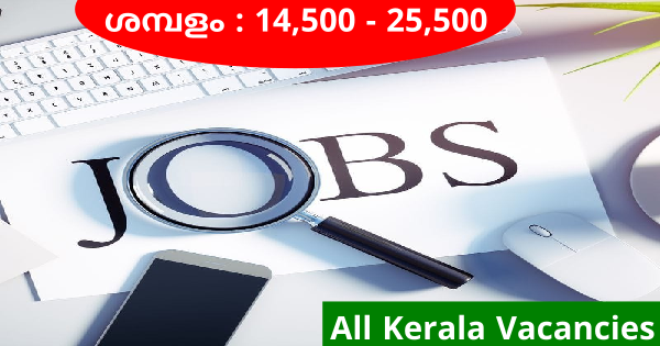യോഗ്യത പ്ലസ്ടു അല്ലെങ്കിൽ ഡിഗ്രി MBC യുടെ സൂപ്പർമാർക്കറ്റിലും സ്റ്റോറിലും ഒഴിവുകൾ