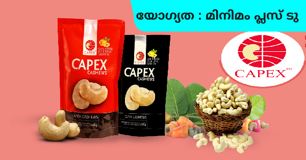 കേരള സർക്കാർ സ്ഥാപനമായ കാപ്പെക്സിൽ കേരളത്തിലെ 14 ജില്ലകളിലും ഒഴിവുകൾ