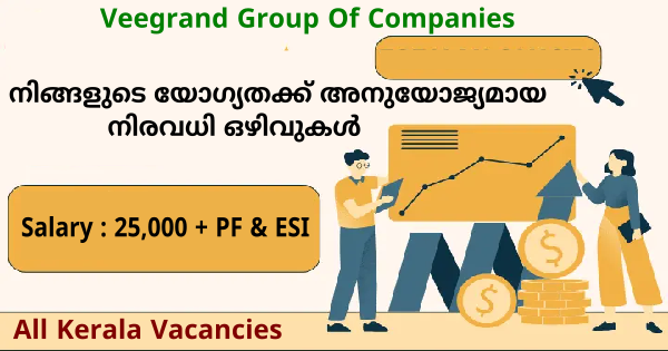 Veegrand ഗ്രൂപ്പിൽ നിരവധി ഒഴിവുകൾ എക്സ്പീരിയൻസ് ആവശ്യമില്ല