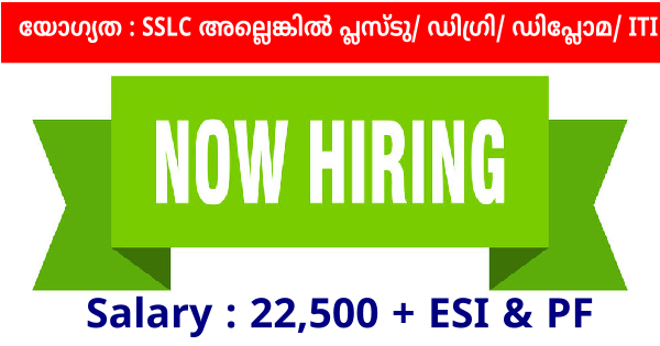 Bright Time Associates ൽ വിവിധ ഒഴിവുകൾ