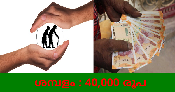 സാമൂഹിക സുരക്ഷ പെൻഷൻ ലിമിറ്റഡിൽ ഒഴിവ്