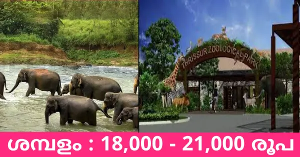 കേരള വനം വകുപ്പിന്റെ കീഴിൽ വിവിധ ഒഴിവുകൾ