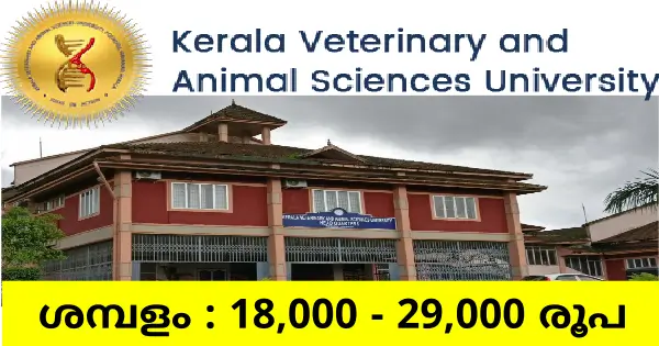 കേരള വെറ്ററിനറി യൂണിവേഴ്സിറ്റിയിലെ വിവിധ ഒഴിവുകളിലേക്ക് ഇന്റർവ്യൂ നടത്തുന്നു