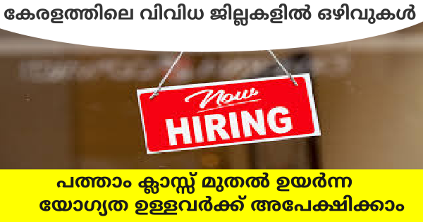 HP Group Private Limited Campany ൽ നിരവധി അവസരങ്ങൾ