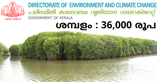 പരിസ്ഥിതി കാലാവസ്ഥാ വ്യതിയാന ഡയറക്ടറേറ്റിൽ ജോലി നേടാം