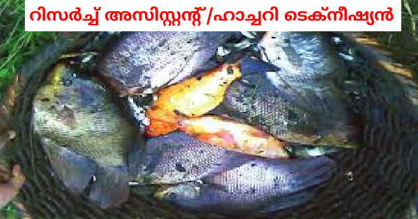 ഫിഷറീസ് കാര്യാലയത്തില്‍ ഇന്റർവ്യൂ