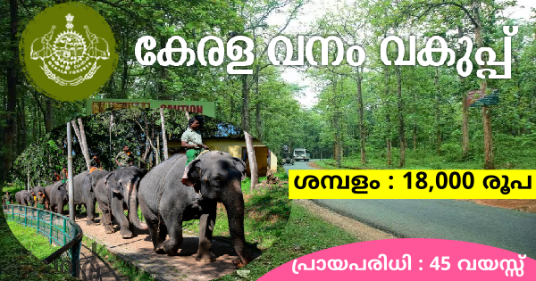 യോഗ്യത ഏഴാം ക്ലാസ് മതി കേരള വനം വകുപ്പിൻ്റെ കീഴിൽ ജോലി നേടാം