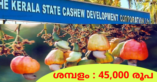 കേരള കശുവണ്ടി ബോർഡിൽ ജോലി നേടാം