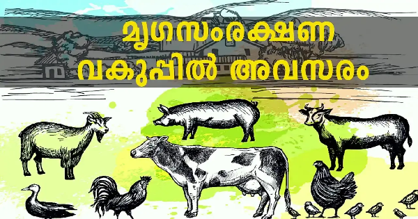 മൃഗസംരക്ഷണ ഓഫീസില്‍ ഇന്റർവ്യൂ നടത്തുന്നു