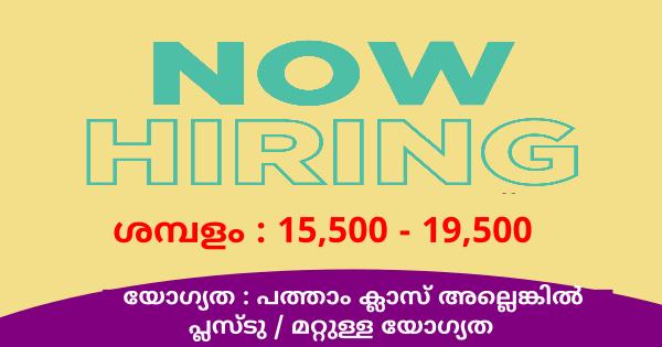 LIFE VISION ഗ്രൂപ്പിലെ വിവിധ ഒഴിവിലേക്ക് നിയമനം നടത്തുന്നു