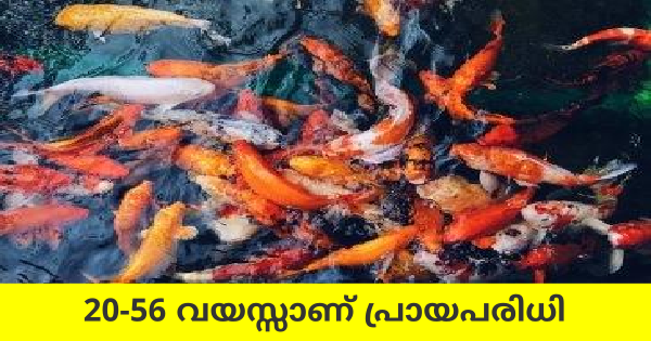 ജനകീയ മത്സ്യകൃഷി പദ്ധതിയിൽ ഒഴിവുകൾ
