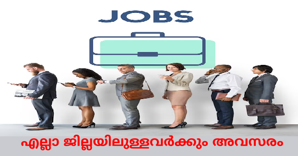 Z Mart ൻ്റെ ഓഫീസുകളിൽ ജോലി നേടാൻ അവസരം