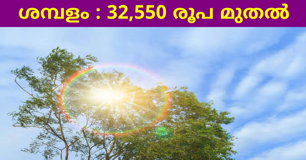കേരള കാലാവസ്ഥാ വ്യതിയാന അഡാപ്റ്റേഷൻ മിഷൻ വിവിധ ഒഴിവുകളിലേക്ക് അപേക്ഷ ക്ഷണിച്ചു
