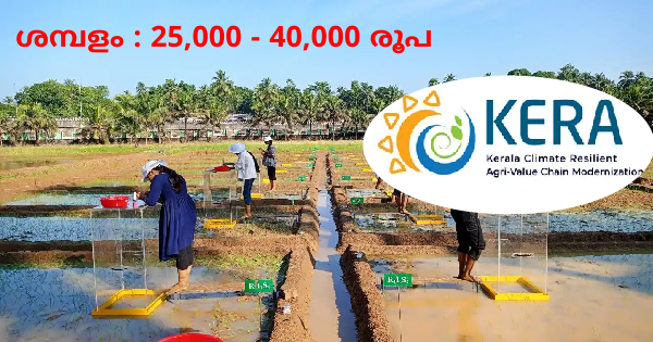 കേരള കൃഷി വികസന കർഷകക്ഷേമ വകുപ്പിന് കീഴിലുള്ള KERA യിൽ വിവിധ ജില്ലകളിലായി ഒഴിവുകൾ