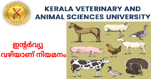 കേരള വെറ്ററിനറി യൂണിവേഴ്‌സിറ്റിയിൽ ജോലി നേടാം