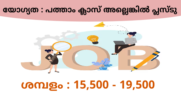 LIFE VISION ഗ്രൂപ്പിലെ വിവിധ ഒഴിവിലേക്ക് അപേക്ഷ ക്ഷണിച്ചു