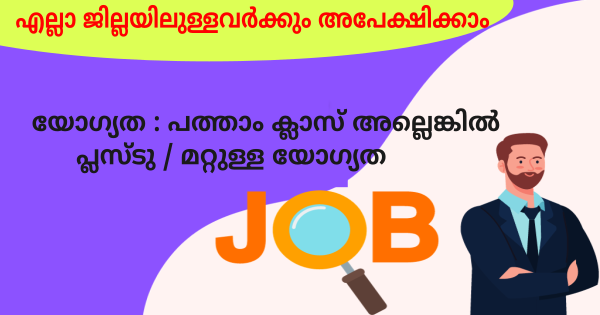 LIFE VISION ഗ്രൂപ്പിലെ വിവിധ ഒഴിവിലേക്ക് നിയമനം