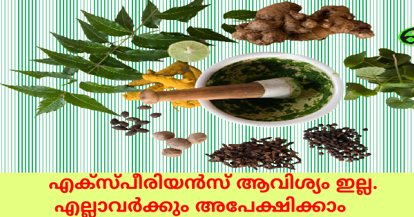 ആയുർ പ്രൈവറ്റ് ലിമിറ്റഡിൽ ഒഴിവുകൾ