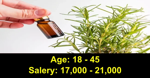 Rosemary നിർമാണ കമ്പനി യുടെ കീഴിൽ അവസരങ്ങൾ