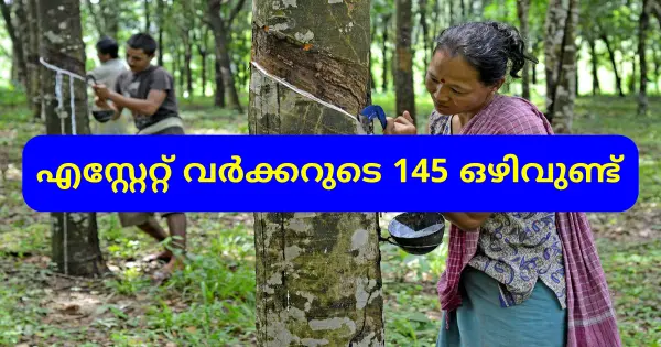 യോഗ്യത ഏഴാം ക്ലാസ് എസ്റ്റേറ്റ് വര്‍ക്കര്‍ ഒഴിവ്