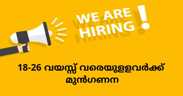 Desila Group ൽ നിരവധി അവസരങ്ങൾ