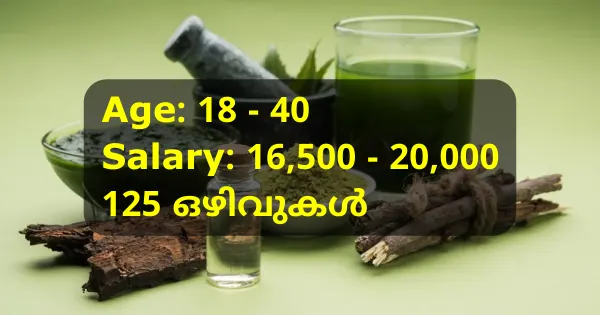 Global Ayurvedic ഔട്ട്ലെറ്റിലേക്ക് നിരവധി അവസരങ്ങൾ