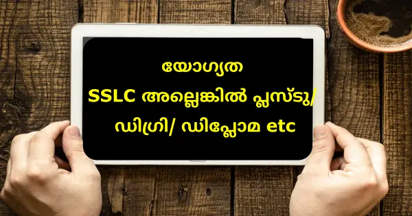 എല്ലാ ജില്ലകളിലും IBC ഗ്രൂപ്പിൻ്റെ പുതിയ ഔട്ട്‌ലെറ്റുകളിലേക്ക് ഉടൻ നിയമനം