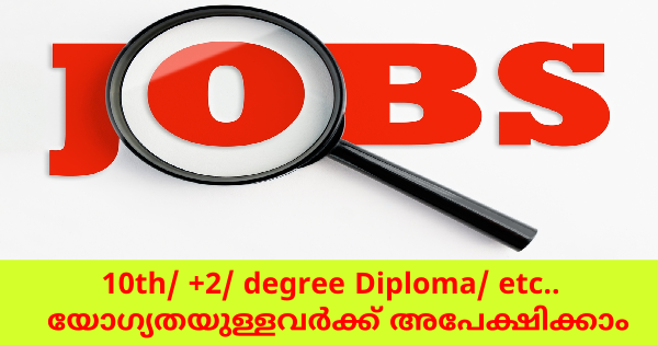 I Care Group ൽ യോഗ്യതക്ക് അനുയോജ്യമായ ജോലി ഒഴിവുകൾ
