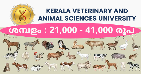 കേരള വെറ്ററിനറി യൂണിവേഴ്സിറ്റിയിൽ വിവിധ ഒഴിവുകൾ