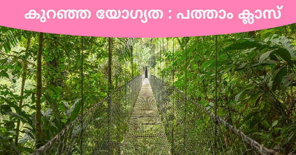 ഇക്കോടൂറിസം നടപ്പാത പ്രോജക്ടിലേക്ക് സൂപ്പർവൈസറെ നിയമിക്കുന്നു