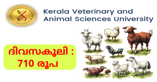 കേരള വെറ്ററിനറി യൂണിവേഴ്സിറ്റിയിൽ ഒഴിവ്