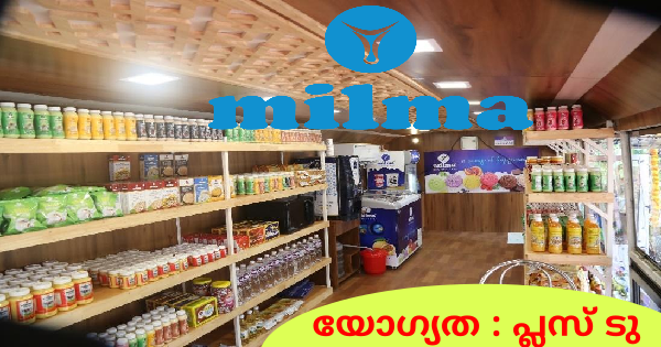 യോഗ്യത പ്ലസ് ടു മിൽമ ഇന്റർവ്യൂ വഴി നിയമനം നടത്തുന്നു