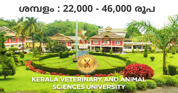 കേരള വെറ്ററിനറി യൂണിവേഴ്സിറ്റിയിൽ ജോലി നേടാം
