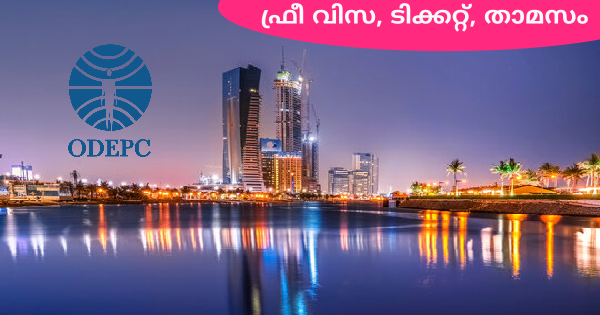 സൗദി അറേബ്യയിൽ ജോലി നേടാൻ അവസരം