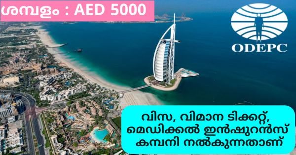 ദുബായിലേക്ക് സൗജന്യ നിയമനം നടത്തുന്നു