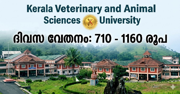 കേരള വെറ്ററിനറി യൂണിവേഴ്സിറ്റിയിൽ ഇന്റർവ്യൂ നടത്തുന്നു