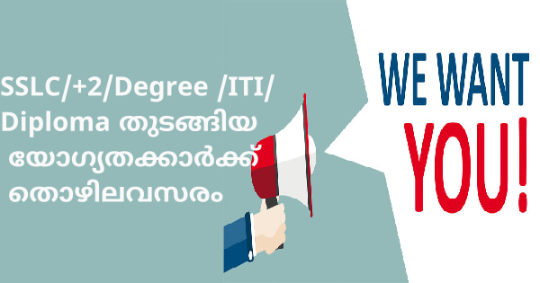 SYNERGY COMPANY യിൽ വേഗതയേറിയ നിയമനം