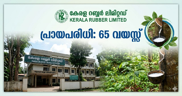 കേരള റബ്ബർ ലിമിറ്റഡിൽ ഒഴിവ്