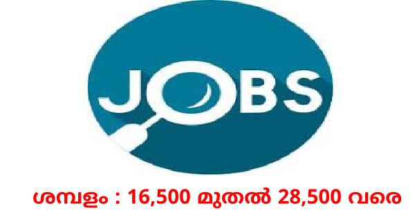 Prime India Associates ൽ അടിയന്തിരമായി ജീവനക്കാരെ ആവശ്യമുണ്ട്