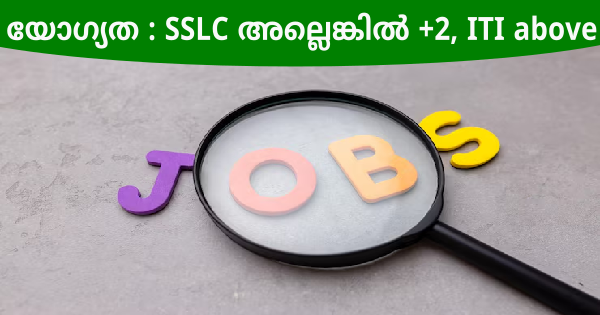 HP Group ൽ ഒഴിവുകൾ