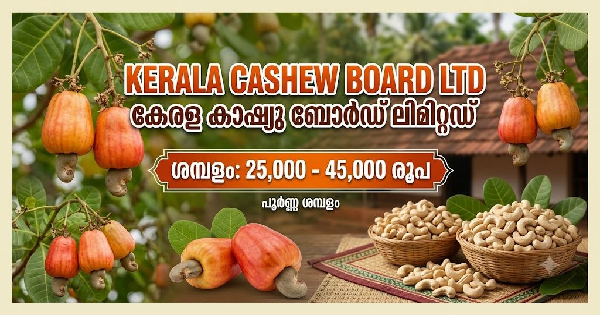 കേരള കാഷ്യൂ ബോർഡിൽ ഒഴിവുകൾ