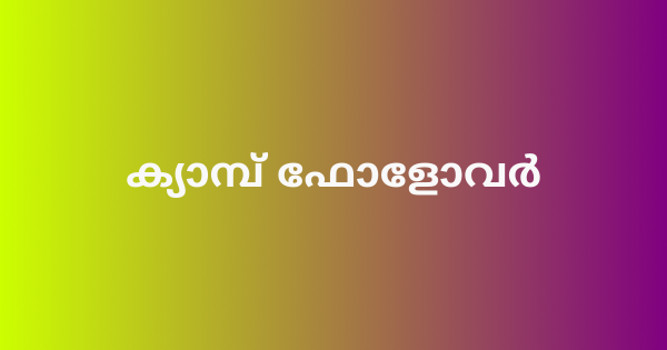 ക്യാമ്പ് ഫോളോവർ ഇൻ്റർവ്യൂ
