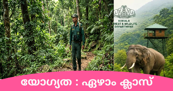  ഏഴാം ക്ലാസ് ഉള്ളവർക്ക് വനം വന്യജീവി വകുപ്പിൽ ജോലി നേടാം