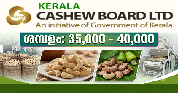 കേരള കാഷ്യൂ ബോർഡിൽ ഒഴിവുകൾ