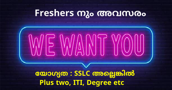 EMERGE GROUP ൽ അവസരം