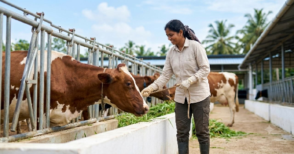 ക്ഷീരവികസന വകുപ്പ് വുമൺ കാറ്റിൽ കെയർ വർക്കർമാരെ നിയമിക്കുന്നു