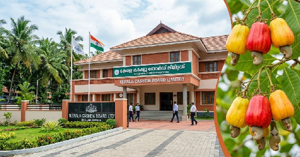 കേരള കാഷ്യൂ ബോർഡിൽ ഒഴിവ്