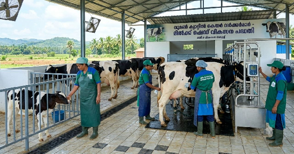 ക്ഷീര വികസനവകുപ്പിന്റെ കീഴിൽ കേരളത്തിലെ വിവിധ ജില്ലകളിൽ ഒഴിവുകൾ 